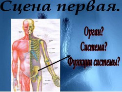 Слайд 02