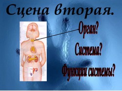 Слайд 03