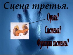 Слайд 04