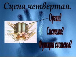 Слайд 05