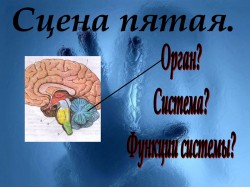 Слайд 06