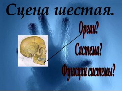 Слайд 07