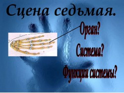 Слайд 08