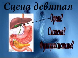 Слайд 10
