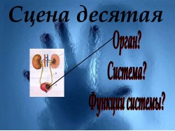 Слайд 11