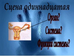 Слайд 12