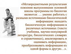 СЛАЙД 03
